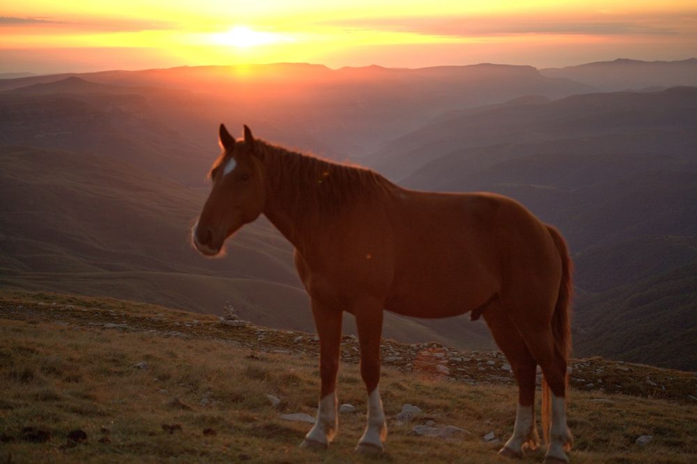 Photograph by Наталья Бурименко