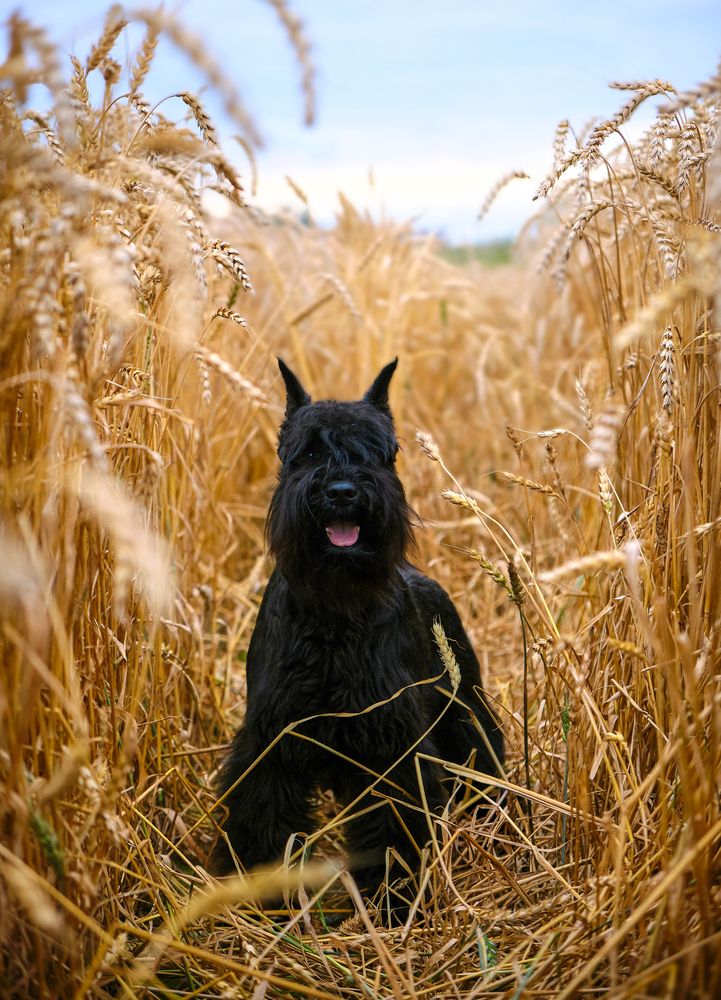 Photograph by Валерия Дурнева