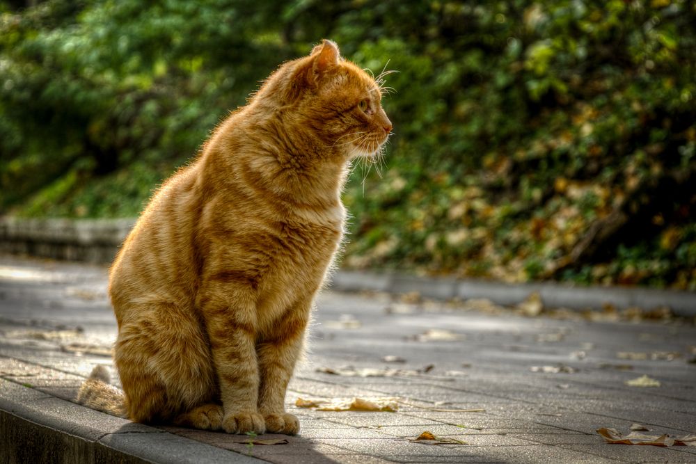 Photograph by Igor Maksimenko