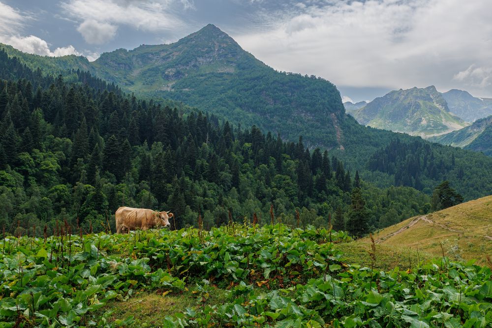 Photograph by Igor Maksimenko