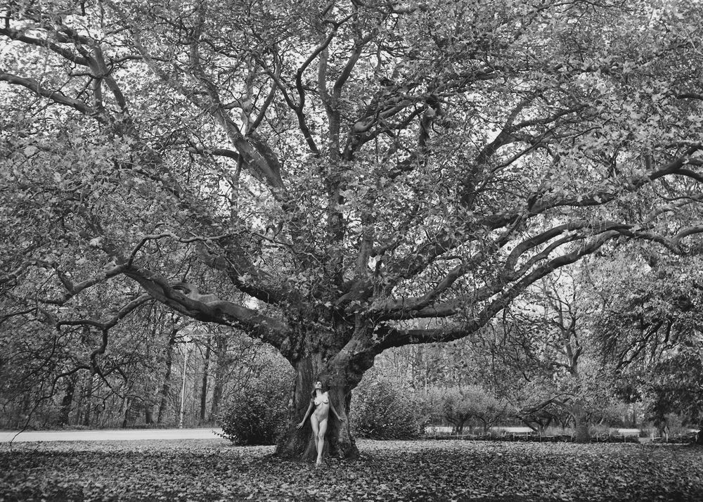 Фотография автора Kaminski Photography Lukas