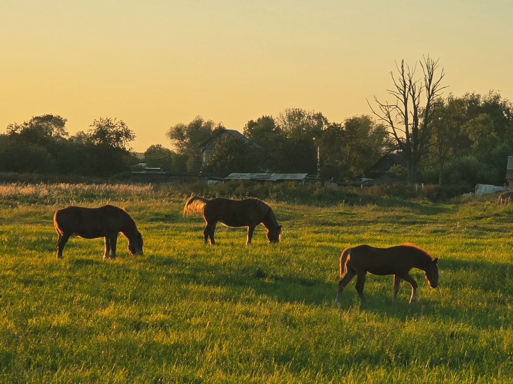 Photograph by Ирина Хлебникова