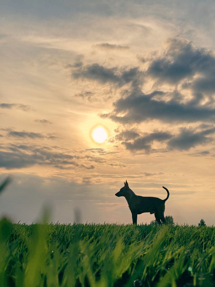 Photograph by Ирина Хлебникова