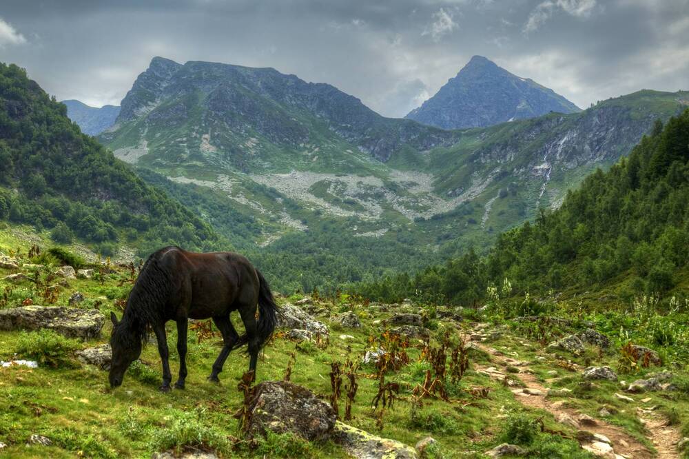 Photograph by Igor Maksimenko