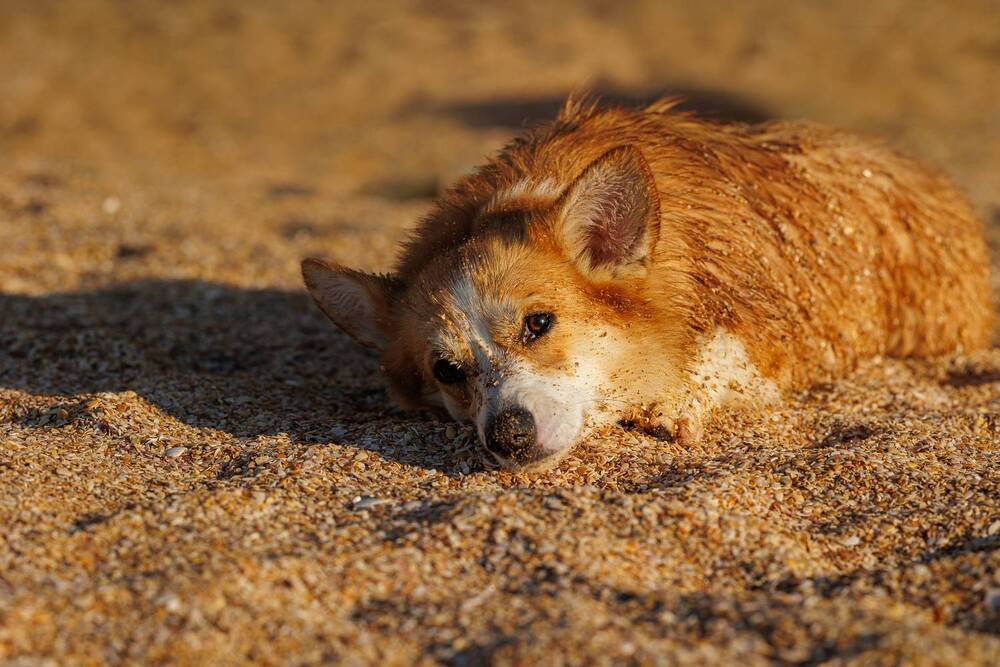 Photograph by Наталья Кирина