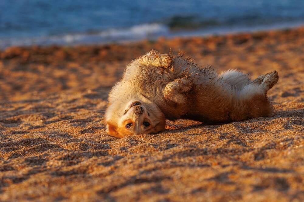 Photograph by Наталья Кирина