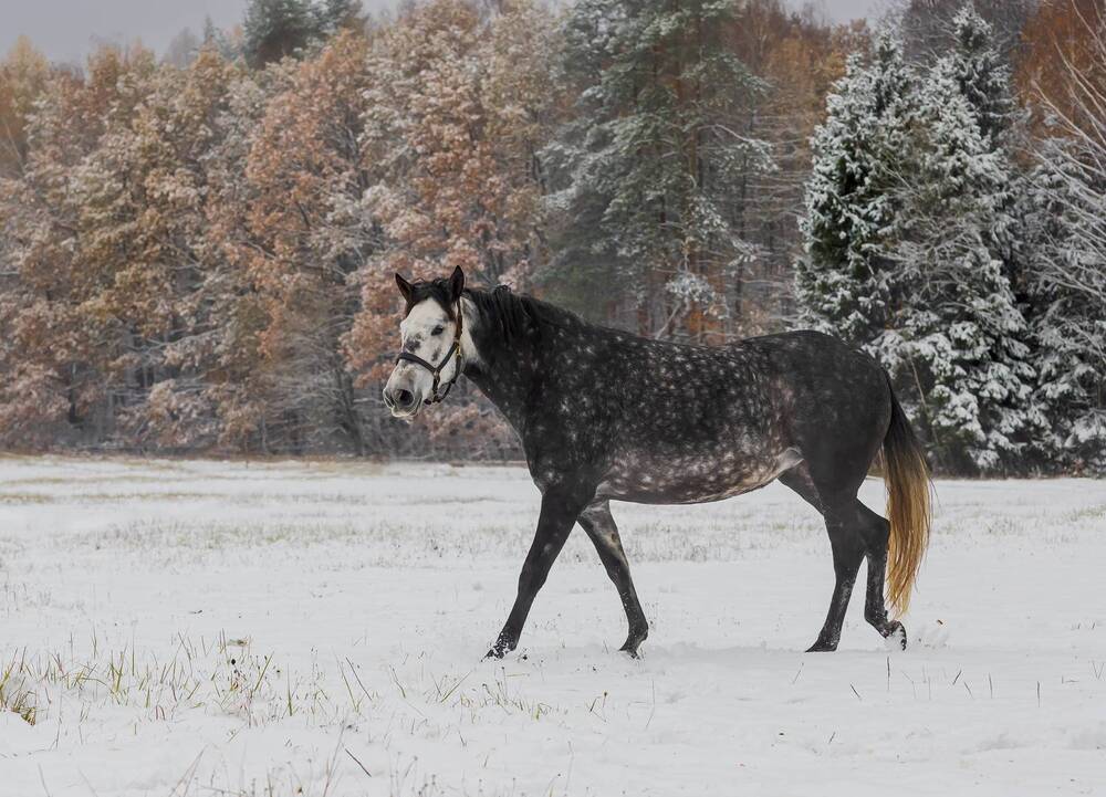 Photograph by александр лялин