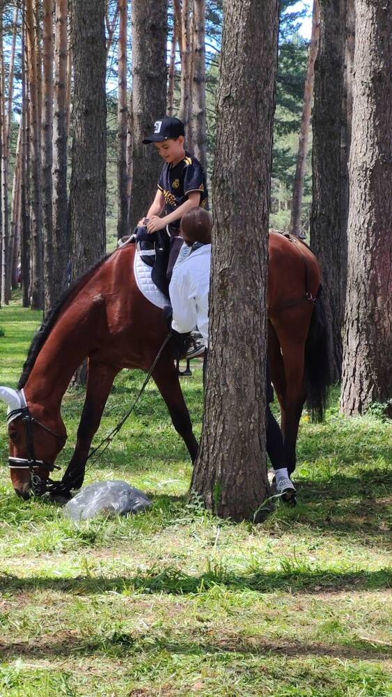 Фотография автора Наталья Шендяпина