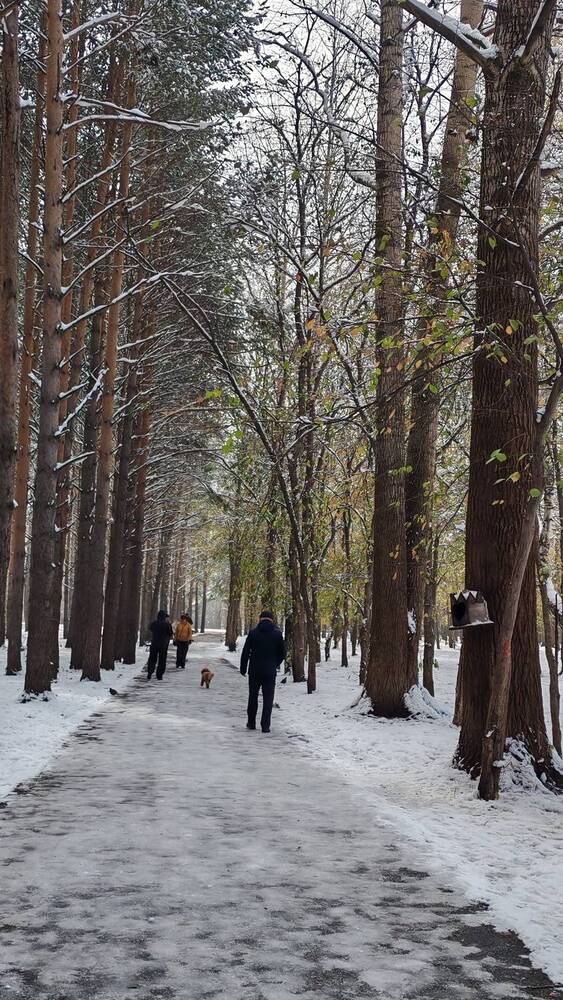 Фотография автора Наталья Шендяпина