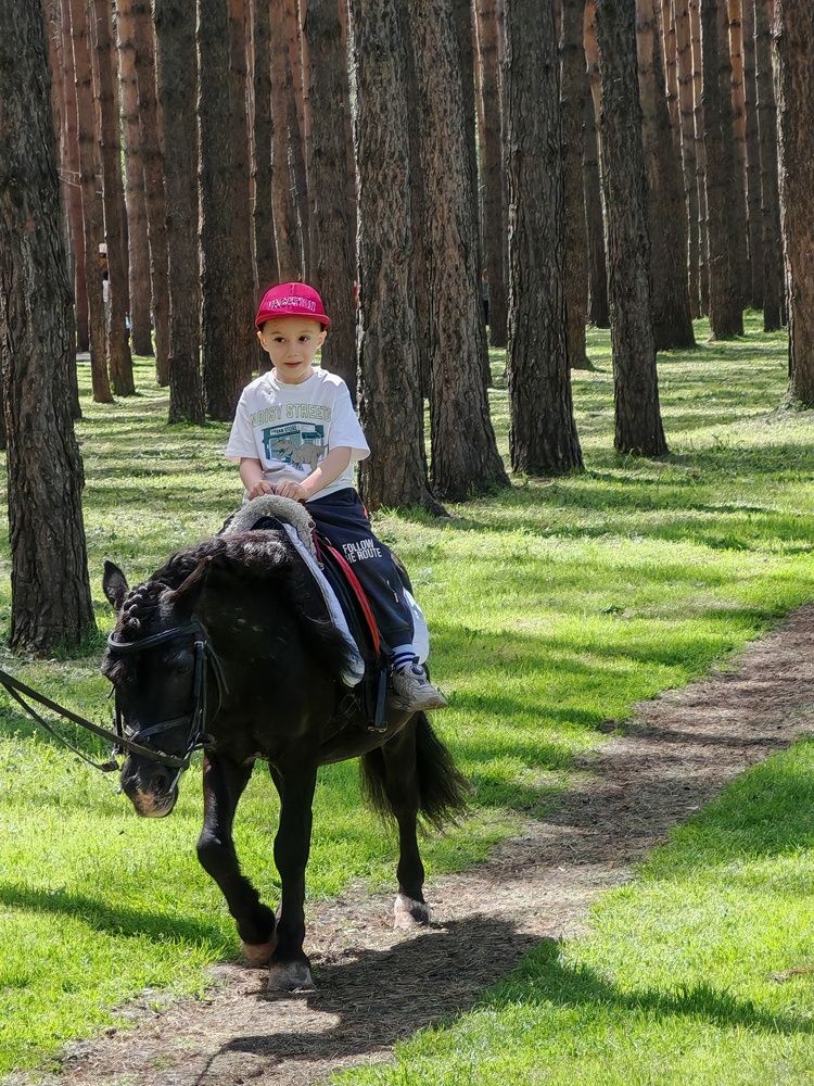 Фотография автора Наталья Шендяпина