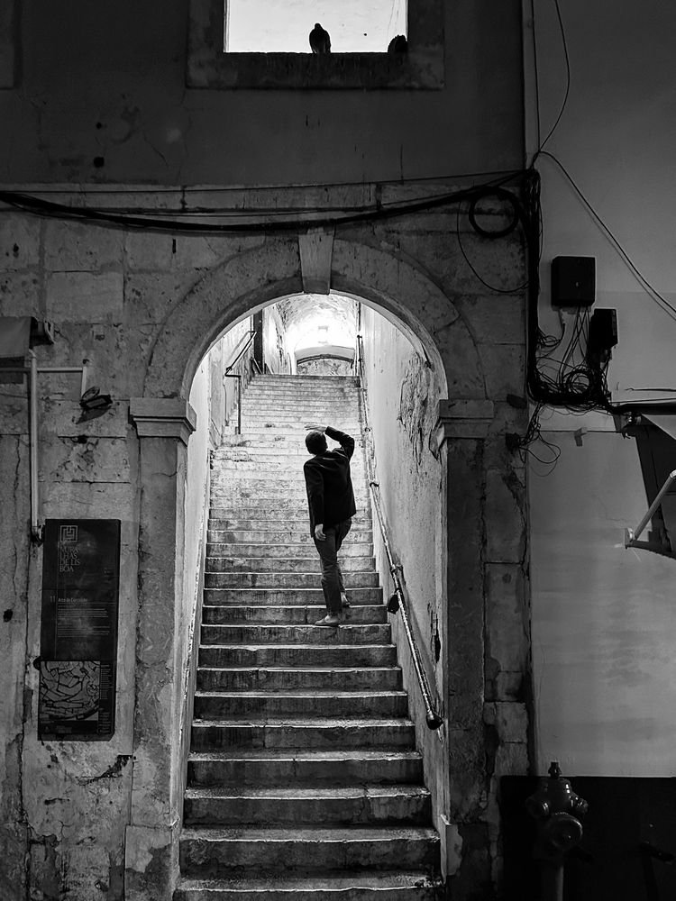 Photograph by Audrius Balcetis