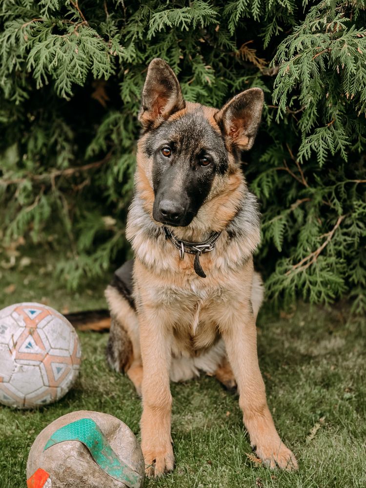 Photograph by Татьяна Гуцанович