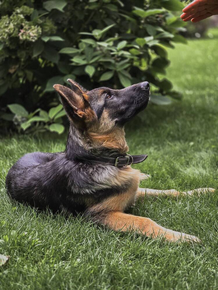 Photograph by Татьяна Гуцанович