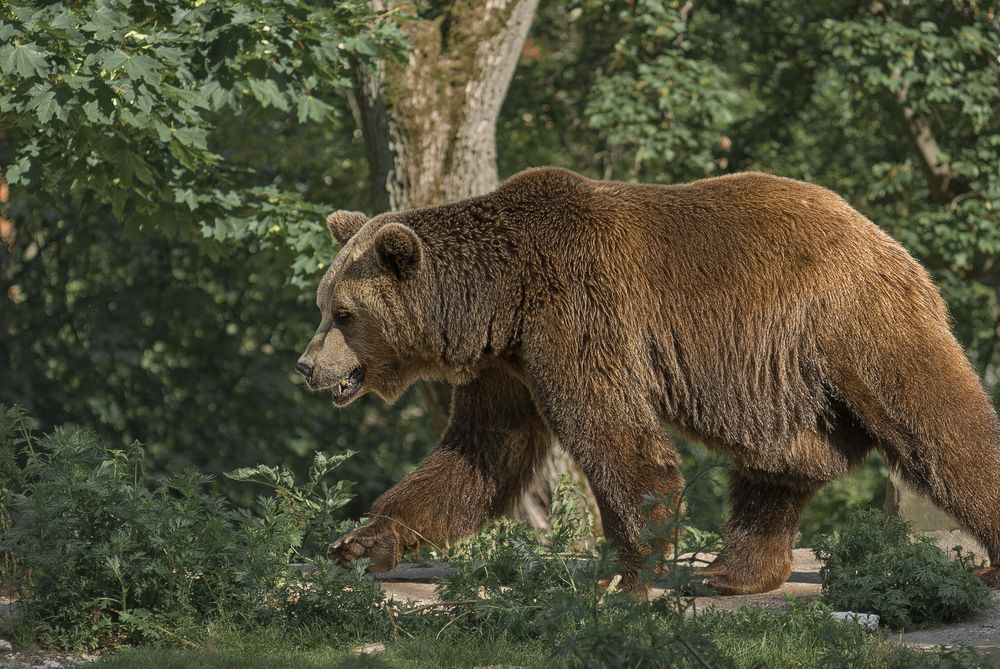 Photograph by Виктория Уварова