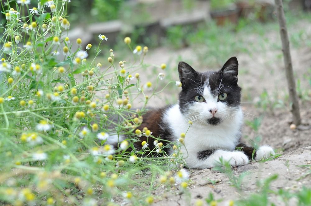 Photograph by Helena Proshkina