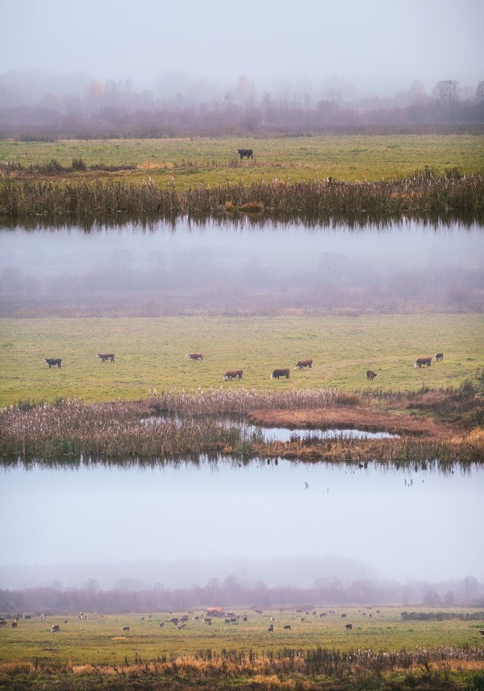 Photograph by Анатолий Вахрушев