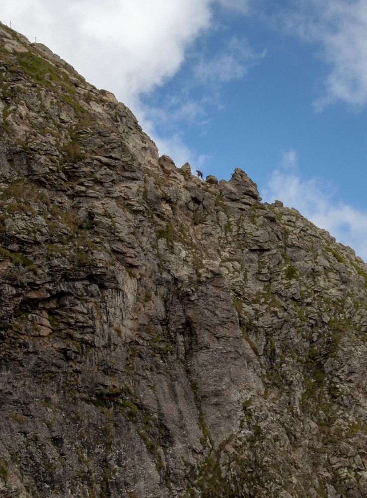 Фотография автора Татьяна Петренко