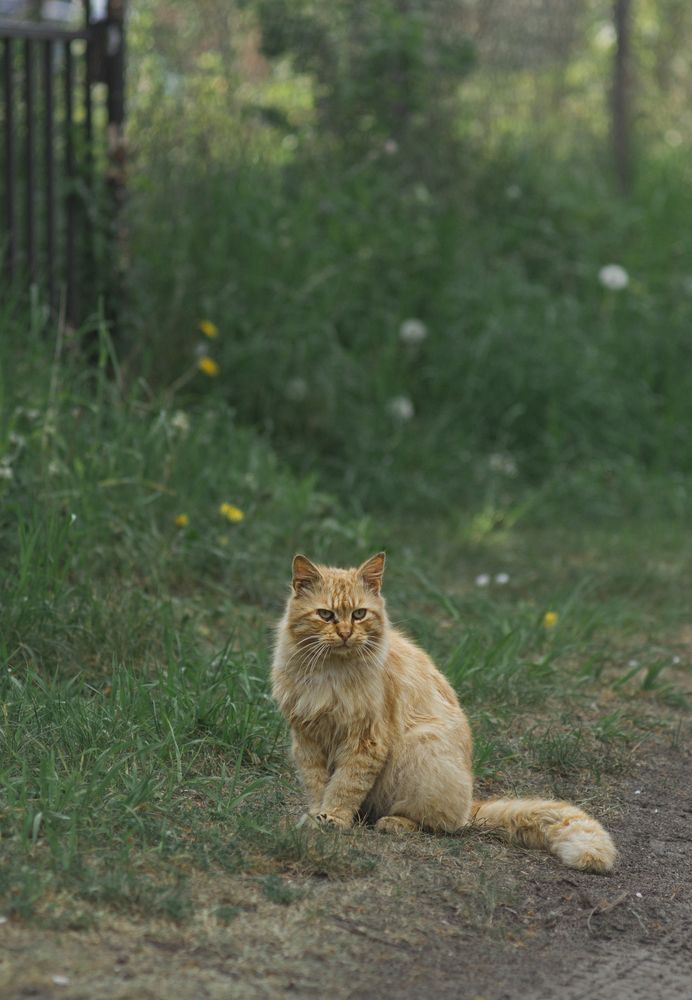 Photograph by Виктория Уварова
