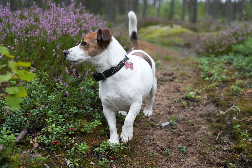 Photograph by Andrei Baburin