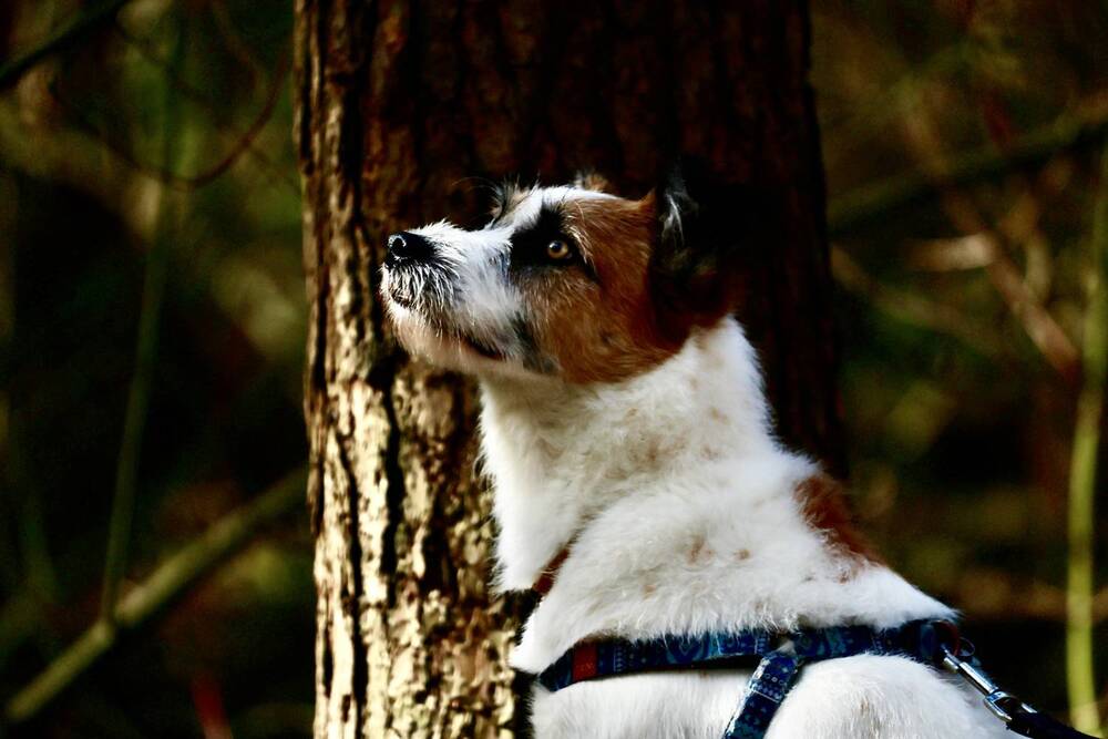 Photograph by Яна Егорова