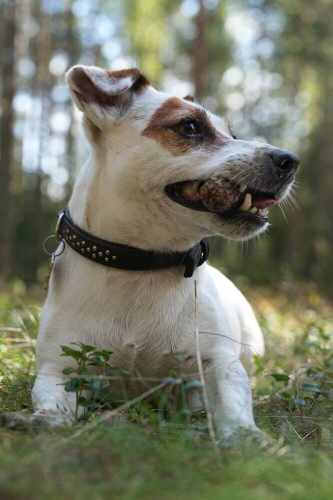 Photograph by Andrei Baburin