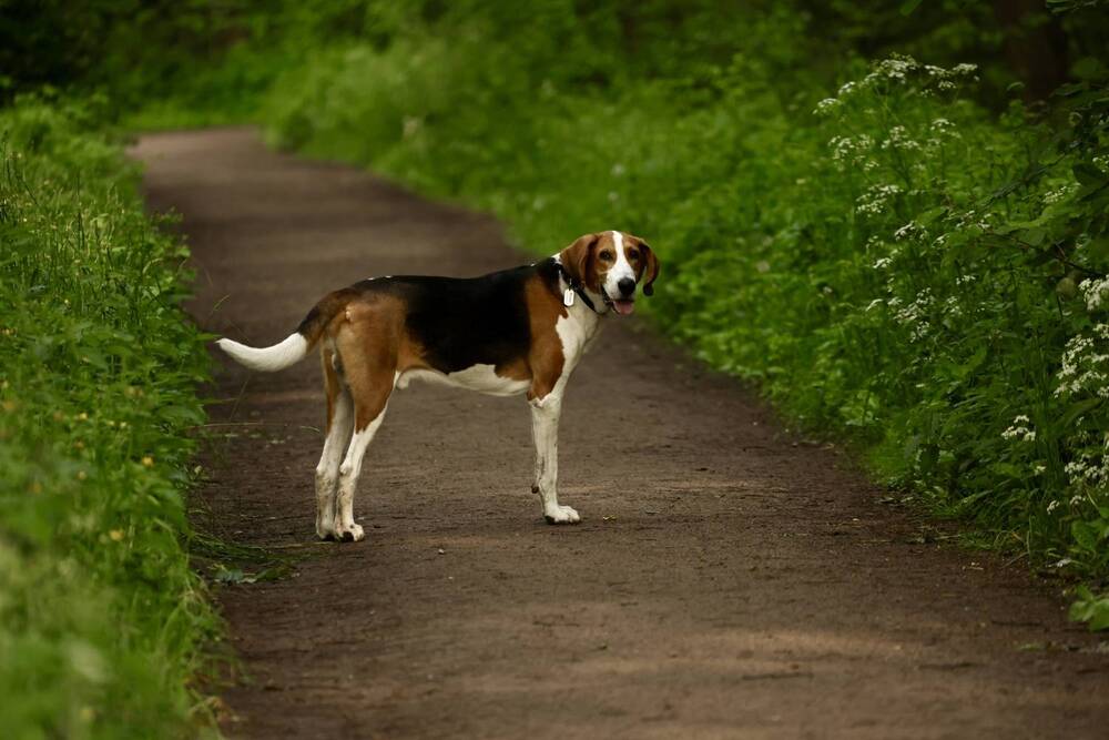 Photograph by Яна Егорова