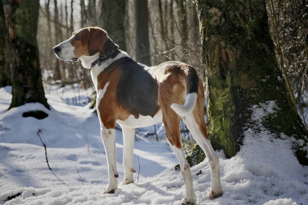 Photograph by Яна Егорова