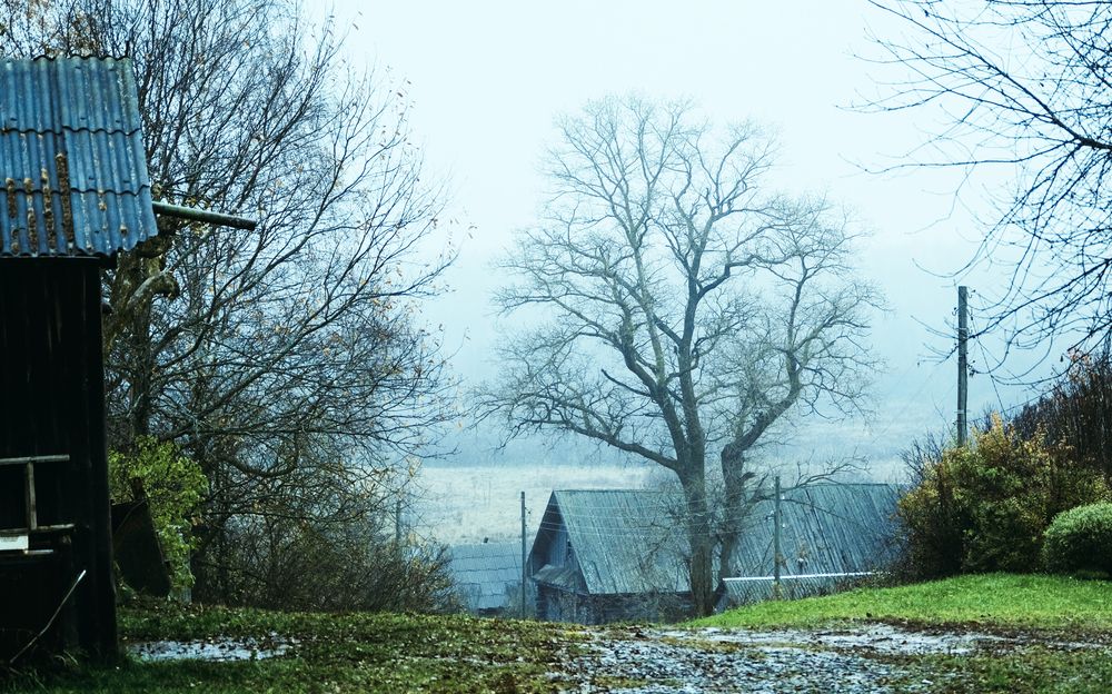 Photograph by Анатолий Вахрушев