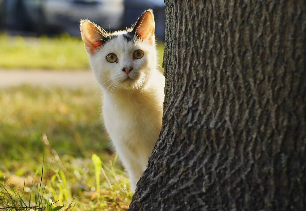 Photograph by Яна Егорова