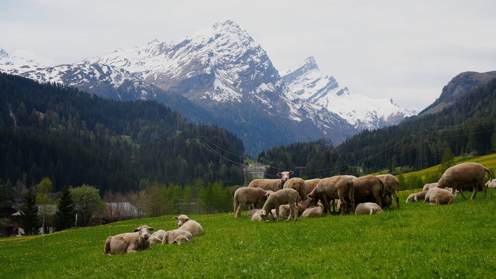 Photograph by Andrei Baburin