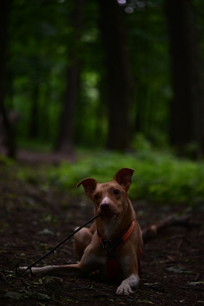 Photograph by Elvira Ner