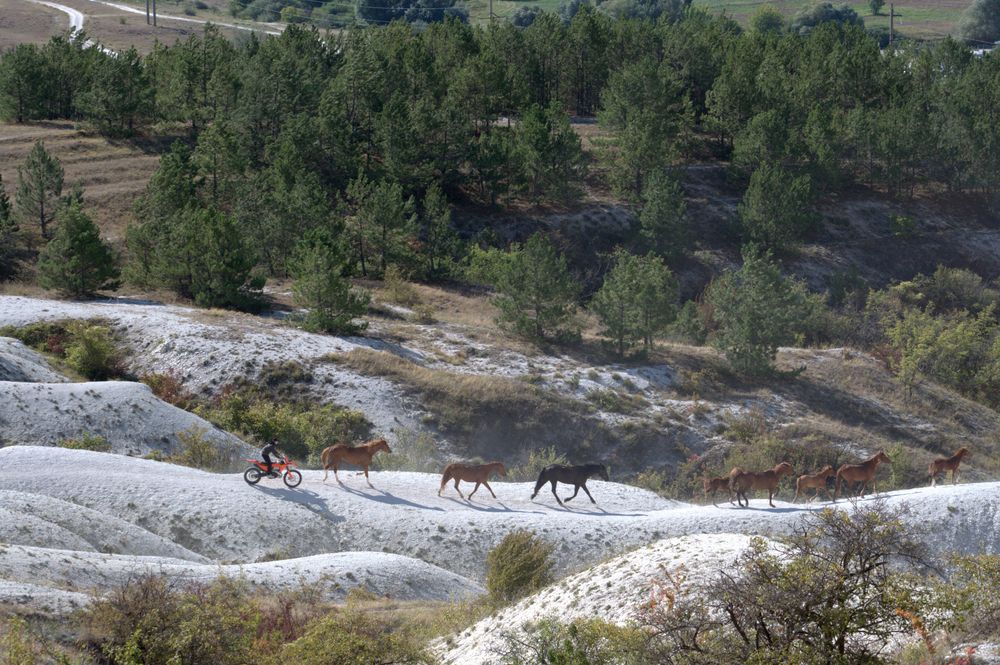 Фотография автора Татьяна Петренко