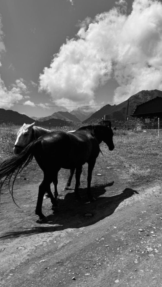 Photograph by Белла