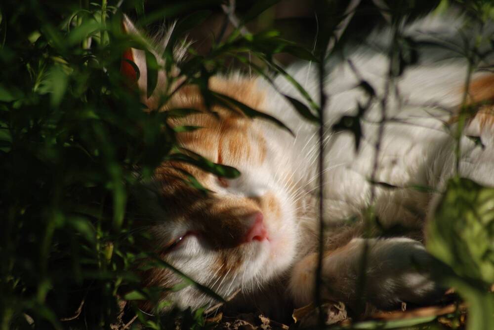 Photograph by Сергей Данилюк