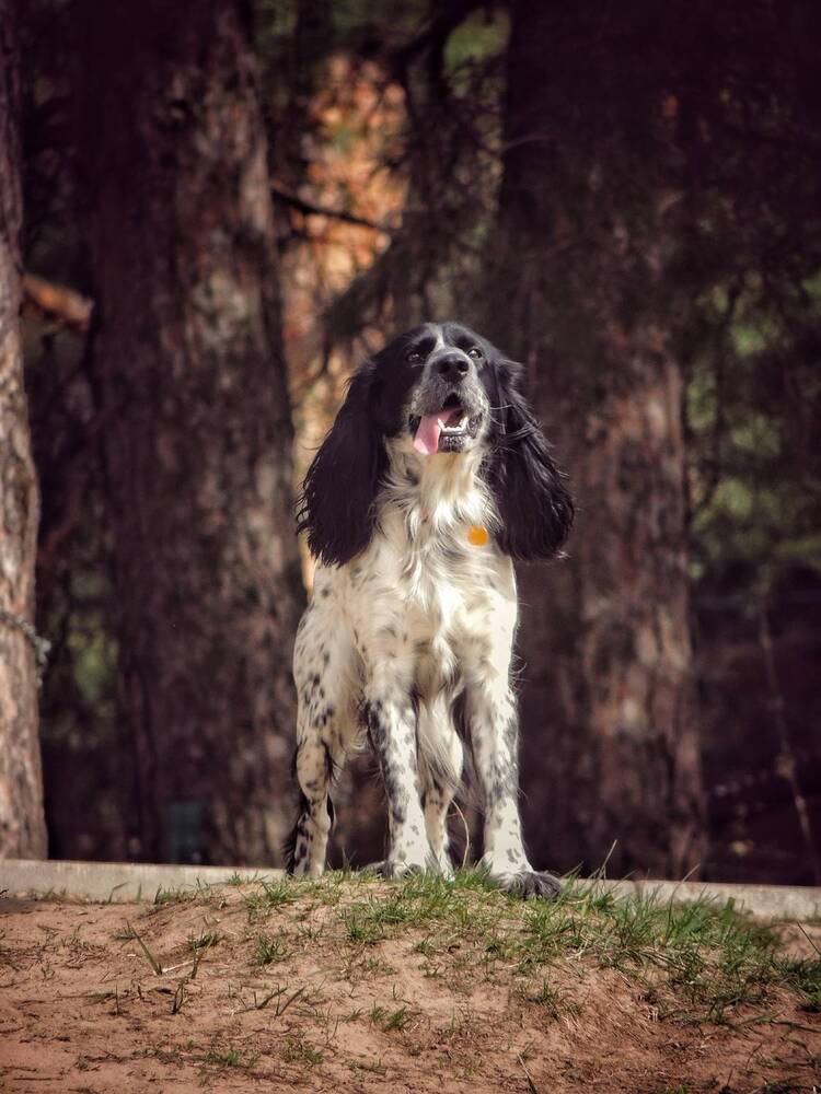 Photograph by Зыкова Мария