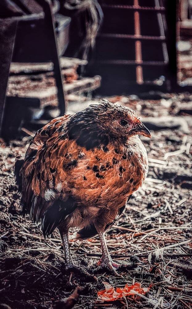 Photograph by Зыкова Мария