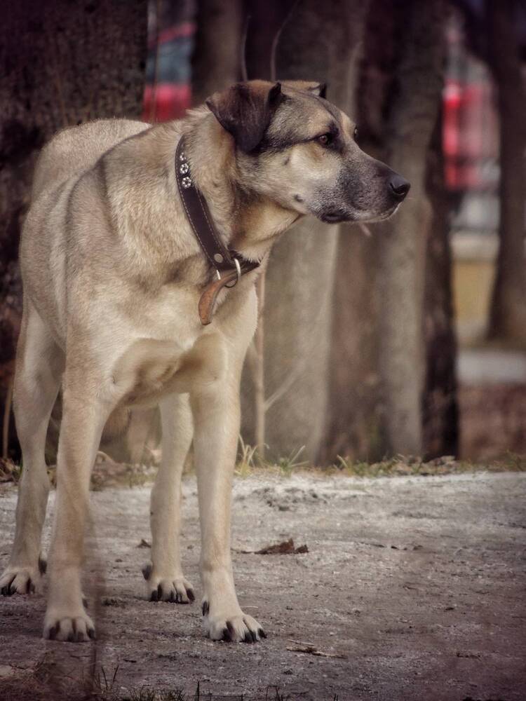 Photograph by Зыкова Мария