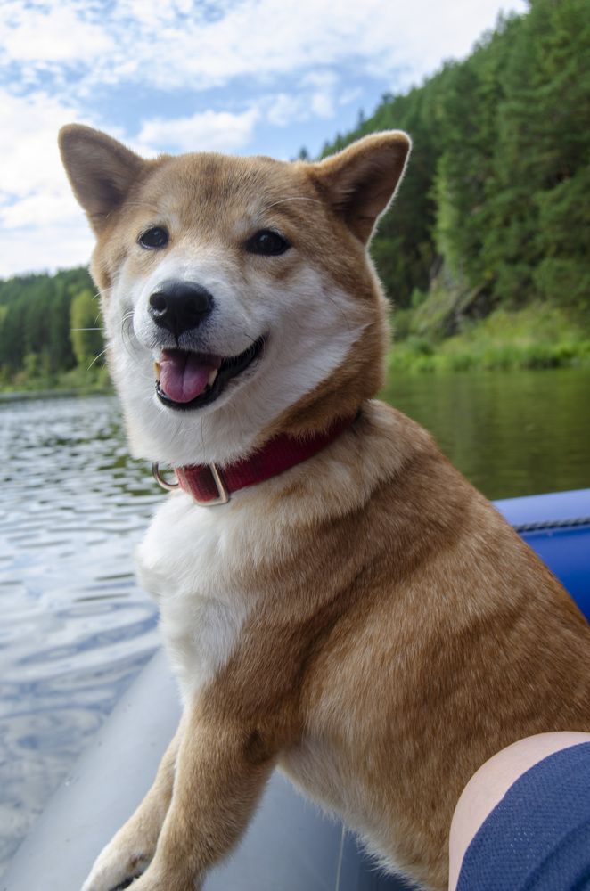 Photograph by Светлана Кудянова