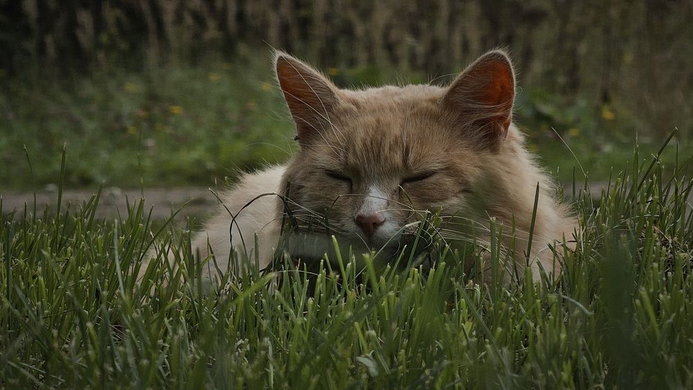 Photograph by Степан Макрушин