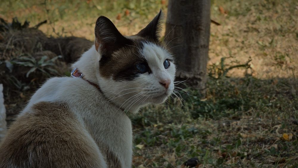 Photograph by Степан Макрушин