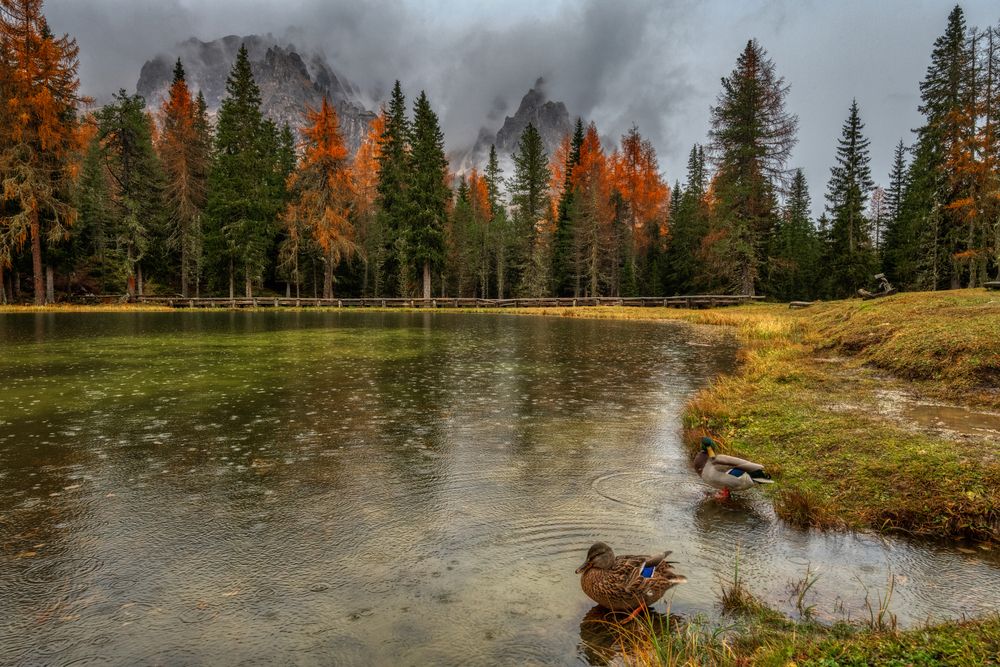 Photograph by Alain Veldin