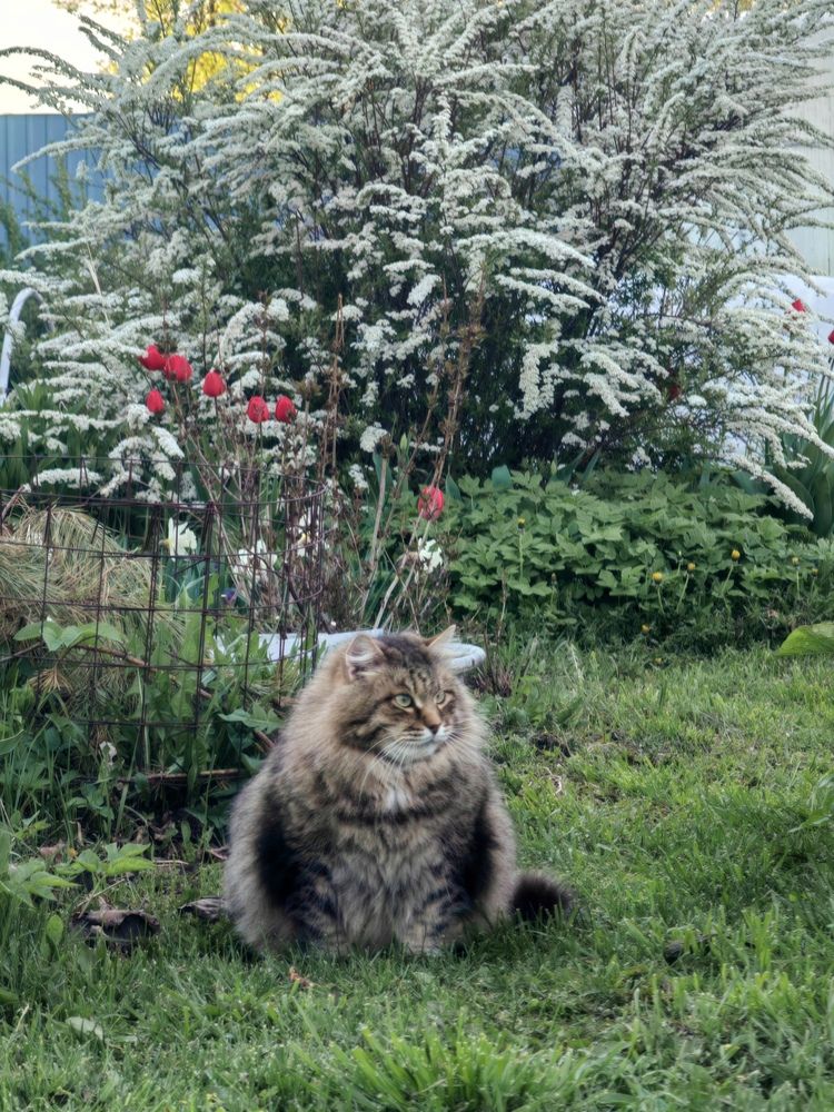 Photograph by Полина Мальцева