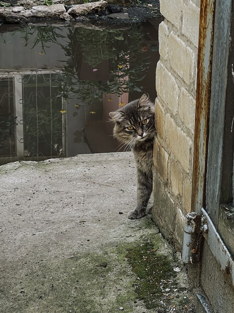 Photograph by Олена Уманцева