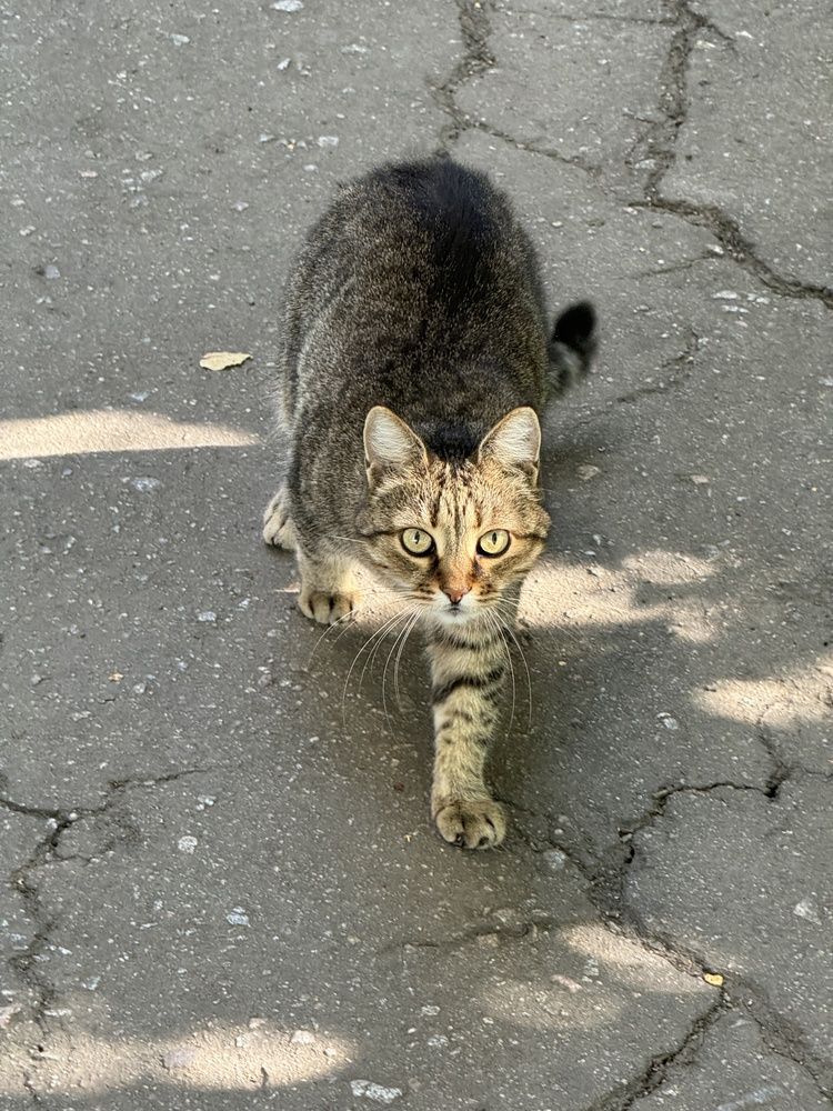 Photograph by Олена Уманцева