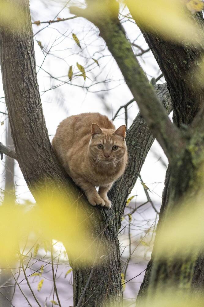 Photograph by Александр Новиков