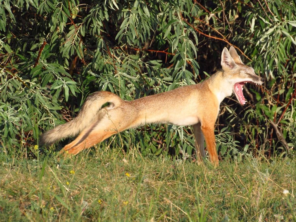 Photograph by Денис Веску