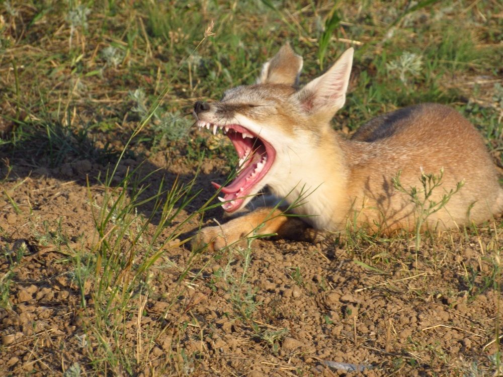 Photograph by Денис Веску