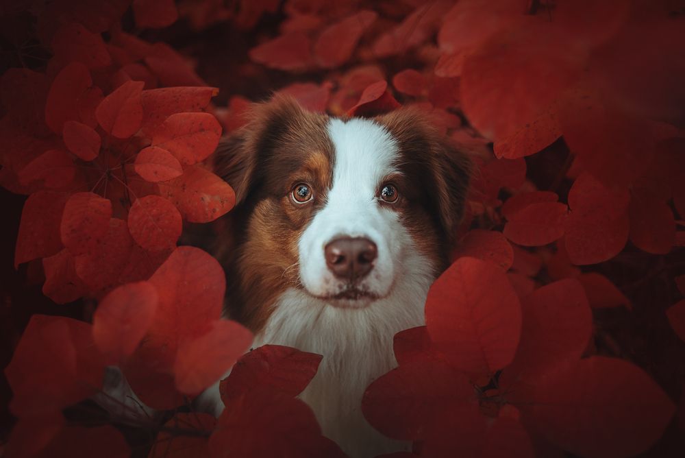 Photograph by Алексей Соколенко