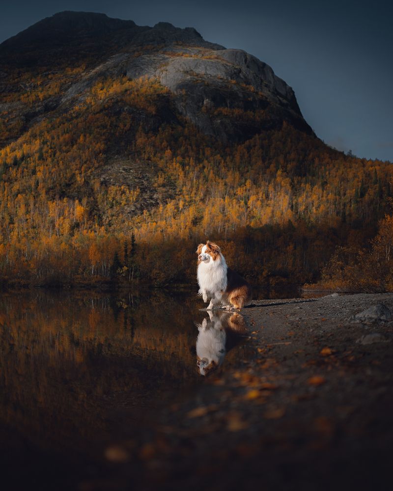 Photograph by Алексей Соколенко