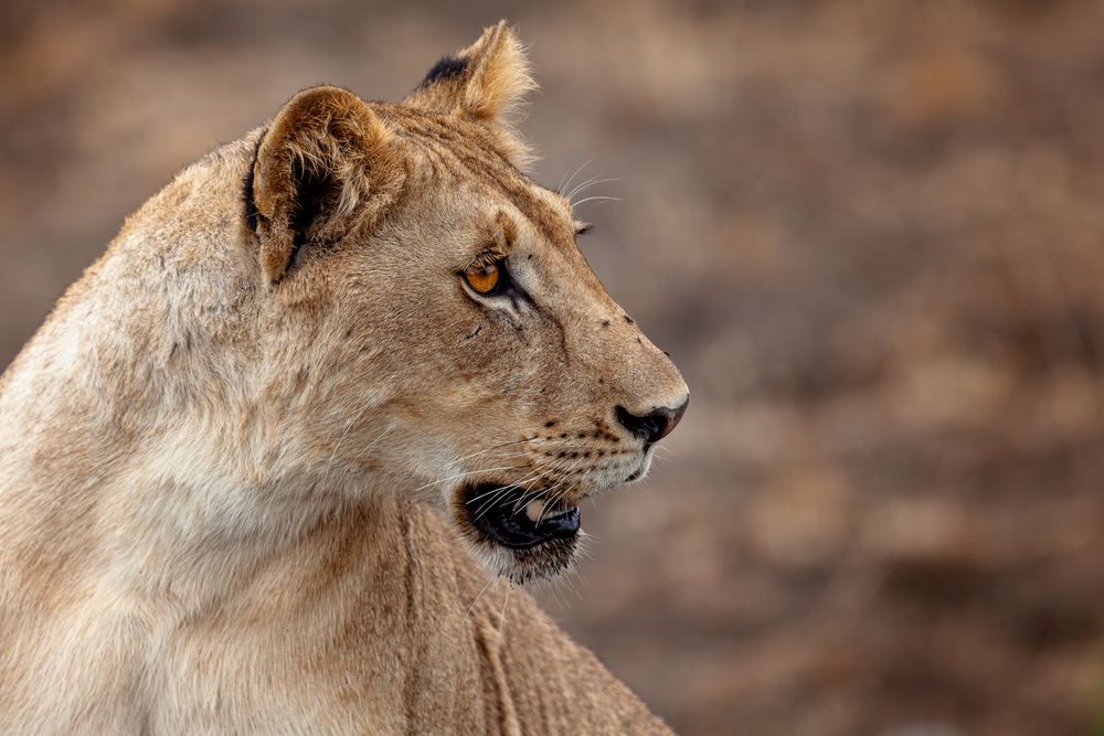 Photograph by Георгий